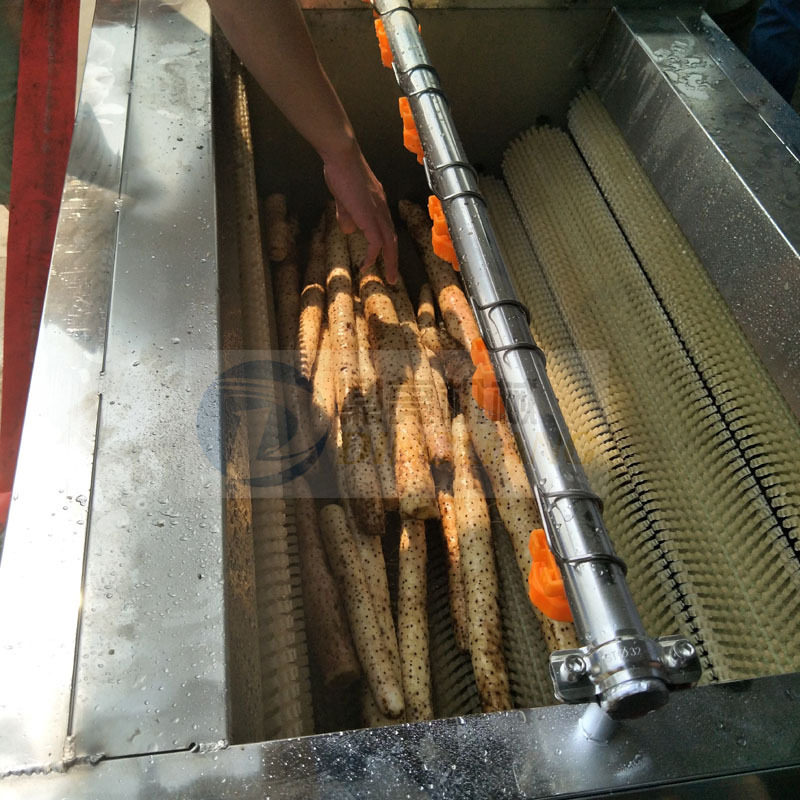 现货直销多功能毛刷清洗去皮机桃子清洗机核桃清洗设备去鳞机
