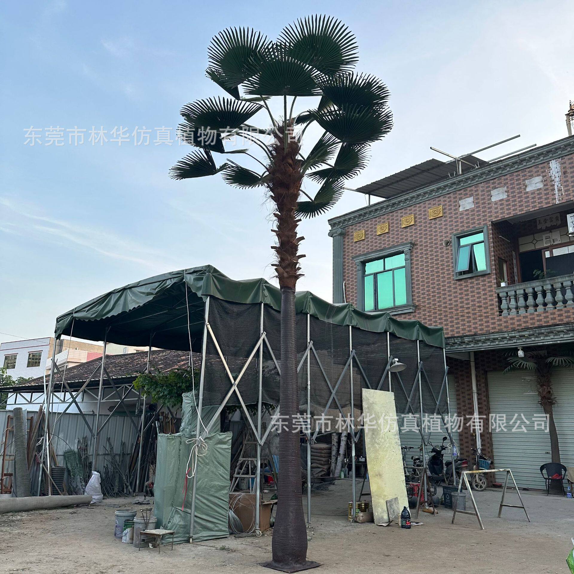 仿真老人葵大型玻璃钢仿真扇葵树室内外装饰商场酒店房地产仿真树