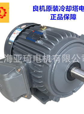 苏州电机有限公司 AEVF/AEEF/AEVP/AEEP/AEVH立式马达