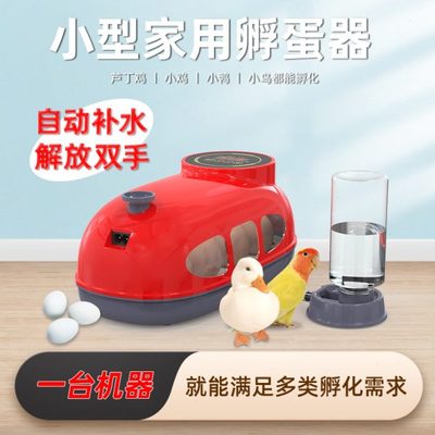 高档小鸡箱全自动小型家用蛋蛋芦丁鸟孵化机孵化器威振鸡迷你孵智