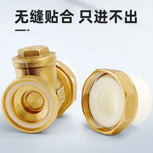 止回阀ppr热熔活接卧式止水阀32逆止阀25单向阀水管水表配件dn20