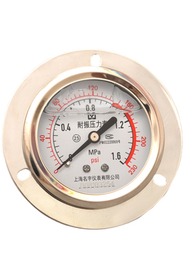 YN60ZT轴向带边耐震压力表0-1.6/2.5/40Mpa水压油压气压液压