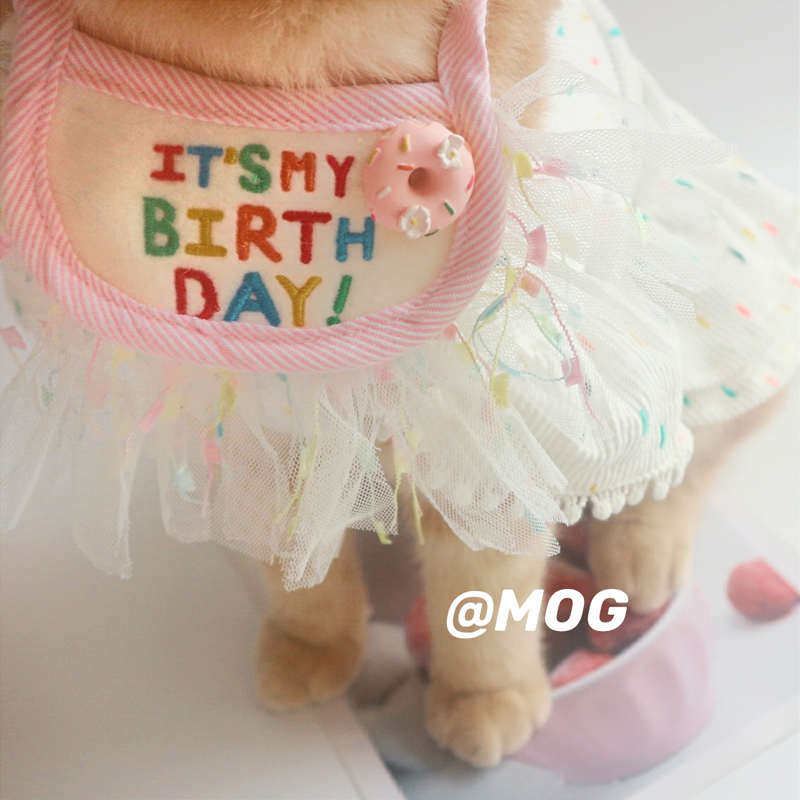 MOG 宠物生日快乐口水巾猫咪狗狗拍照道具系带围兜项圈可爱脖围,宠物/宠物食品及用品,猫宠物服装/雨衣（新）,淘宝优惠券,粉丝福利购,淘宝优惠卷