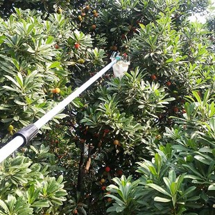 Quality Fruit 极速High Metal Horticultural picker Convenient