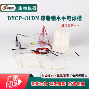 琼脂糖水平电泳仪DYCP-31DN电泳槽核酸凝胶实验配件制胶盒电极架