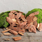 木树枝摆件自然角幼儿园植物角户外装 饰创意微景观树皮场景布置