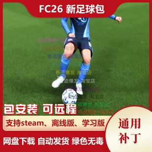 FC26 新足球包补丁 25-26多种赛事比赛真实世界杯用球 不含游戏