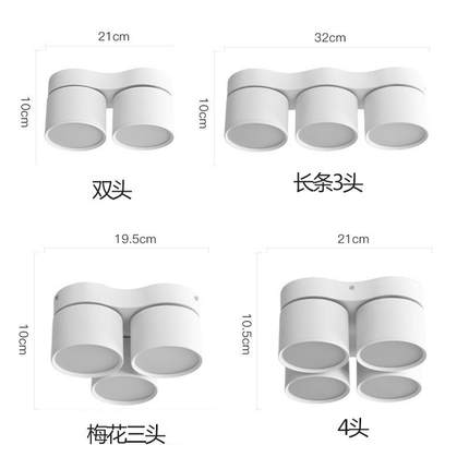 明装led天花灯客厅斗胆灯无主灯商用吸顶式双头三头三色变光筒灯