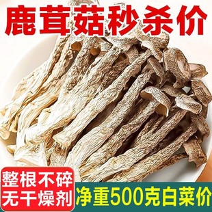 无干燥剂发货 高山鹿茸菇干货炒腊肉农家特产脆脆菇净重炖汤无熏