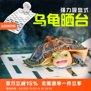 巴西龟草龟黄缘乌龟晒台剃刀黄头晒背补钙浮台水龟爬梯爬坡造景鱼