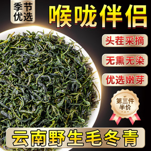 毛冬青云南野生茶的功效中药材嫩芽小叶苦丁茶官方正品中药材500g
