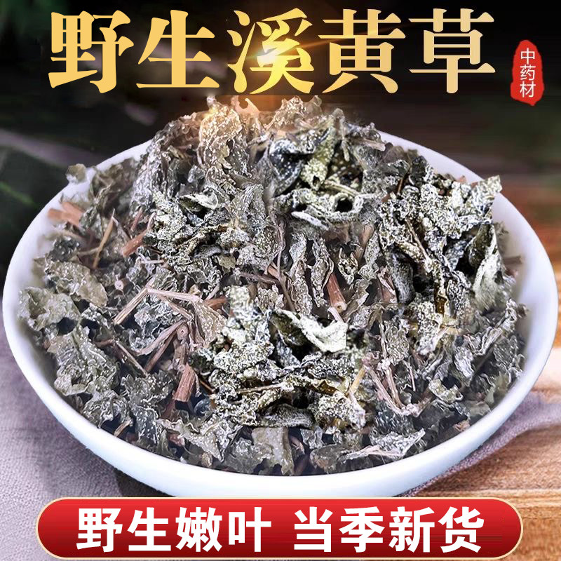 溪黄草溪黄茶叶溪黄草茶包溪黄草益肝茶野生中药材溪王草干潮汕茶