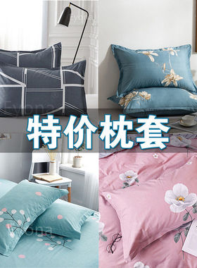厂家特价枕套48x74cm整头套成人情侣学生宿舍家用人枕用春夏季