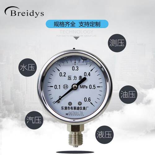 。压力表YN60BF全不锈钢耐震压力表0-1.6/100mpa多量程水压气压表