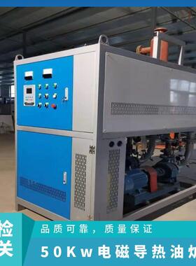 电磁导热油炉炉 能石油化OVH工导电热油锅 导智热炉导热油电加热