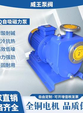 不锈钢304材质自吸式磁力销售泵Z61CQ65-50-泄145无漏耐腐蚀