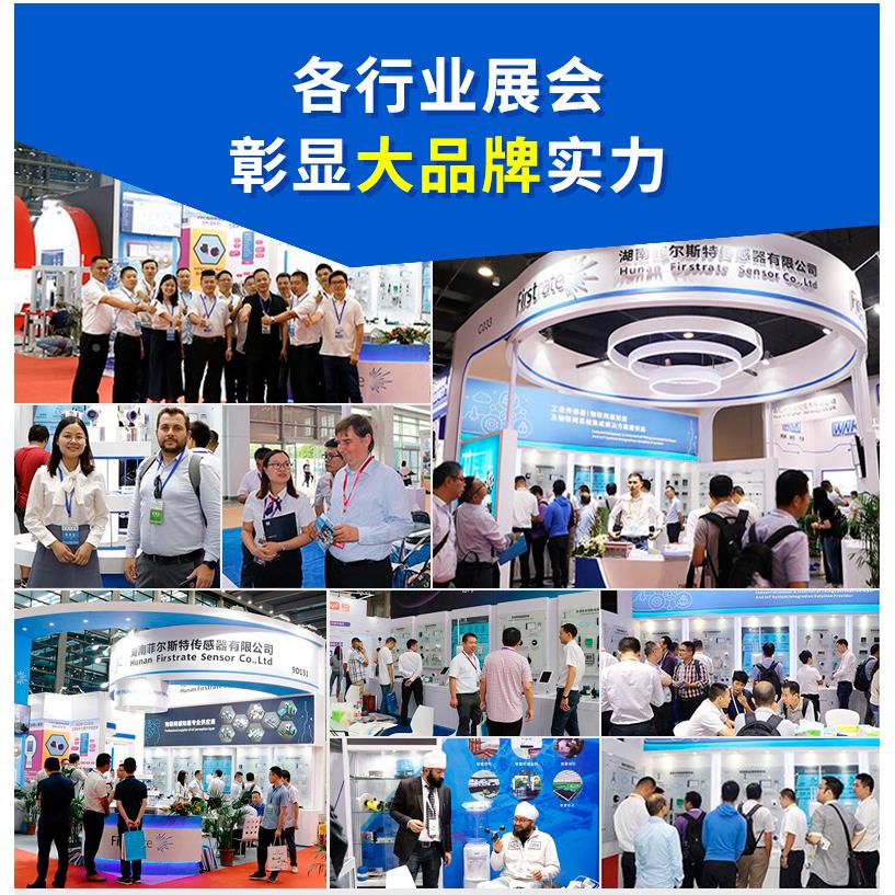 BRW100-菲尔斯特 室外LoRaWA网关 物联网通讯关网数据采集传远程