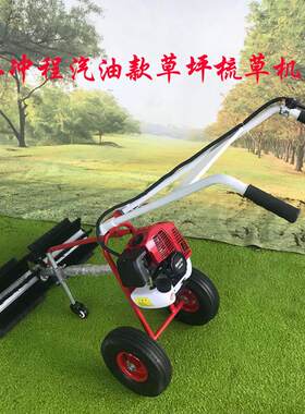 草现货口出手推坪Y2021100梳理机高尔草夫球场坪清理机现货供应操