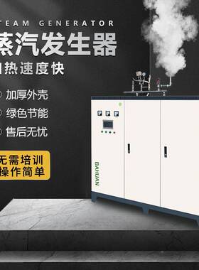 电磁频蒸汽梁发生器蒸汽锅炉装BHZQ熨烫水泥服桥变养护新能