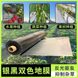 银黑双色地膜加厚农用反光地膜果蔬种植地膜驱虫防草专用农用薄膜