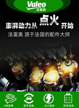 法雷奥配标致206 207雪铁龙C2世嘉307爱丽舍308点火线圈1.6高压包