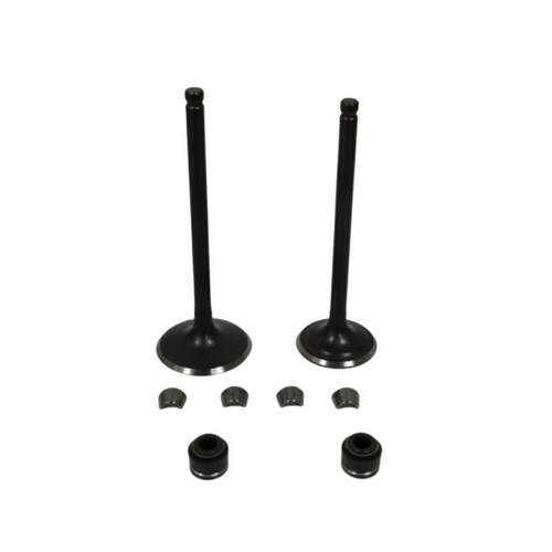 摩托车发动机气门适用RBT250RATOVORTX250CPS250RT250油封