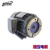 浙江葆特三相液压站油泵马达VP20叶片泵电机0.75W1.5W2.2W