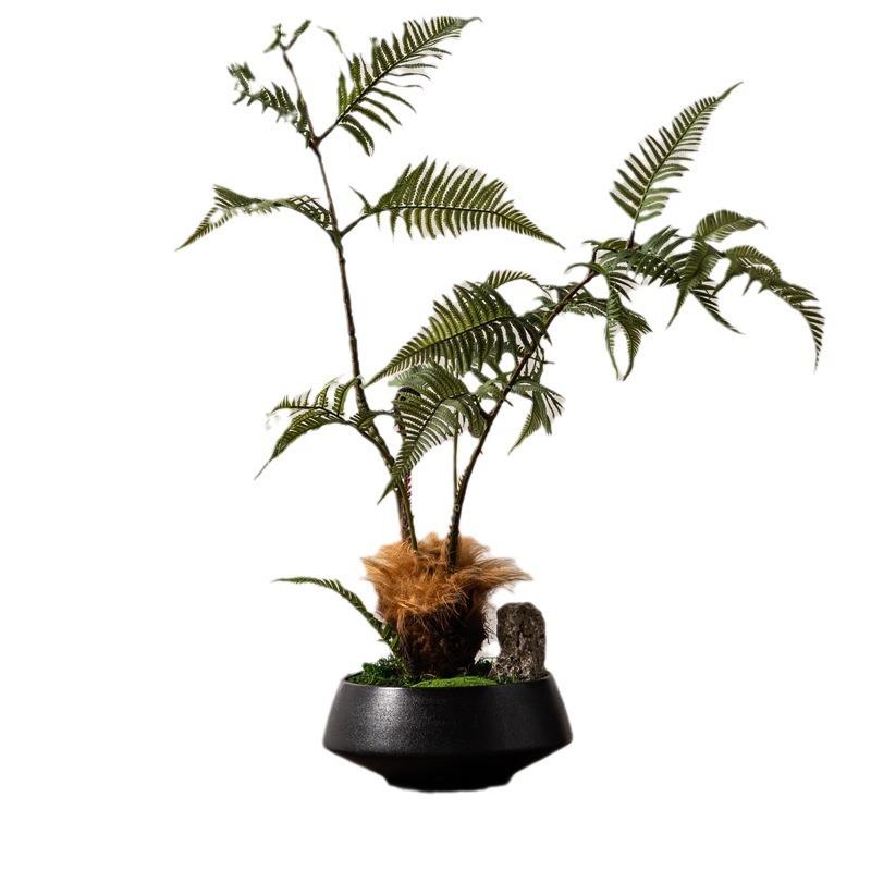 新中式造景仿真金丝猴蕨金毛蕨树绿植民宿茶室桌样板间摆件