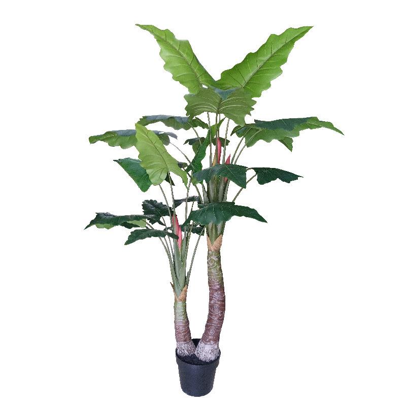 厂家供应盆栽植物龟背过胶叶滴水观音室内摆放盆景假树仙芋彩虹