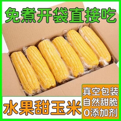 玉米段即食水果玉米开袋即食甜玉米免煮玉米早餐新鲜肥即食玉米段