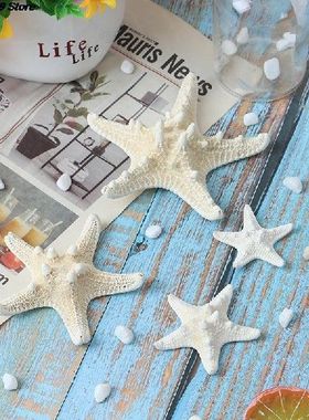 1PCS Home Decor White Starfish 2-14cm White Natural Finger