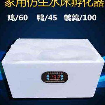极速新品新品水床孵化机家用型鸡鸭鹅孵化器30枚小型44枚卵蛋箱Z