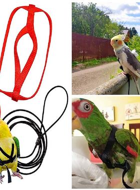 极速Adjustable Pet Bird Parrot Harness Leash Outdoor Flying