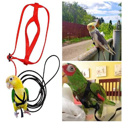 极速Adjustable Pet Bird Parrot Harness Leash Outdoor Flying
