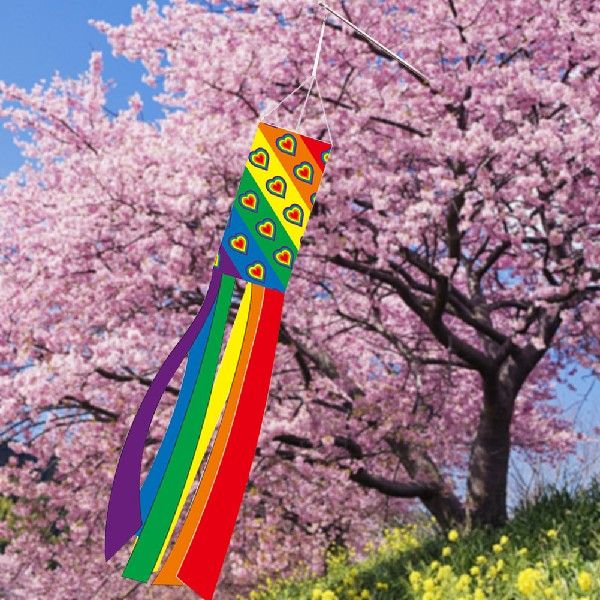 Rainbow Directional Flag Colorful Hanging Directional
