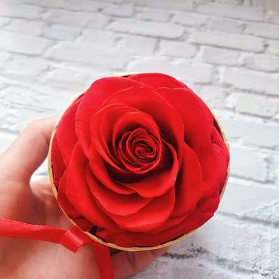 Hongren Yongsheng Flower Hugging Bucket Rose Tanabata Valent