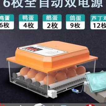 爆品厂销鸽鹌鹑箱孵蛋器小鸡孵化机鹅小型家用孵化器孵化鸭型全品