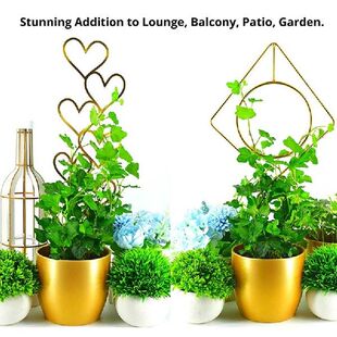 Rust 极速Plants Stand Plant Holder Durable Climbing Proof