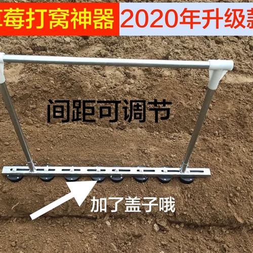 大棚栽草莓农用工具草莓打孔器种草莓神器撒饵器打洞器栽草莓神器