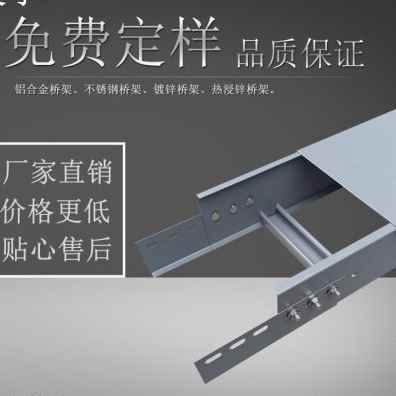 极速新品防火大跨距电缆桥架喷塑烤漆梯架不锈钢托盘式 镀锌线槽