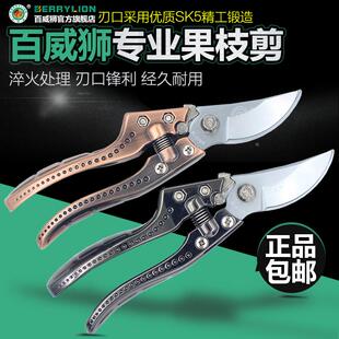 包邮 百威狮 修枝剪修花木园林工具园艺剪刀果树剪子粗枝剪花