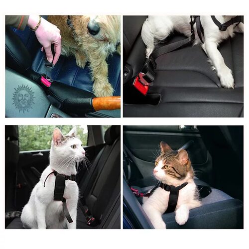 极速Dog Collar Car Seat Belt For Accessories Goods Animals A