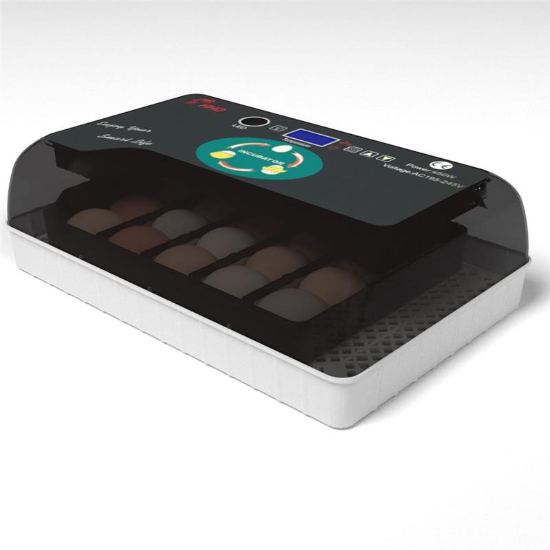 小型智能孵化机鸽子家禽鸡蛋孵化器 小鸡养殖孵化设备孵化箱