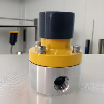 SS316L/SS304背压阀不锈钢背压阀计量泵附件RXBF-系列螺纹缓闭型