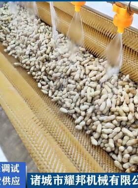全自动20220714机花生清洗毛洗花生机器辊大不锈钢型毛刷式花生清