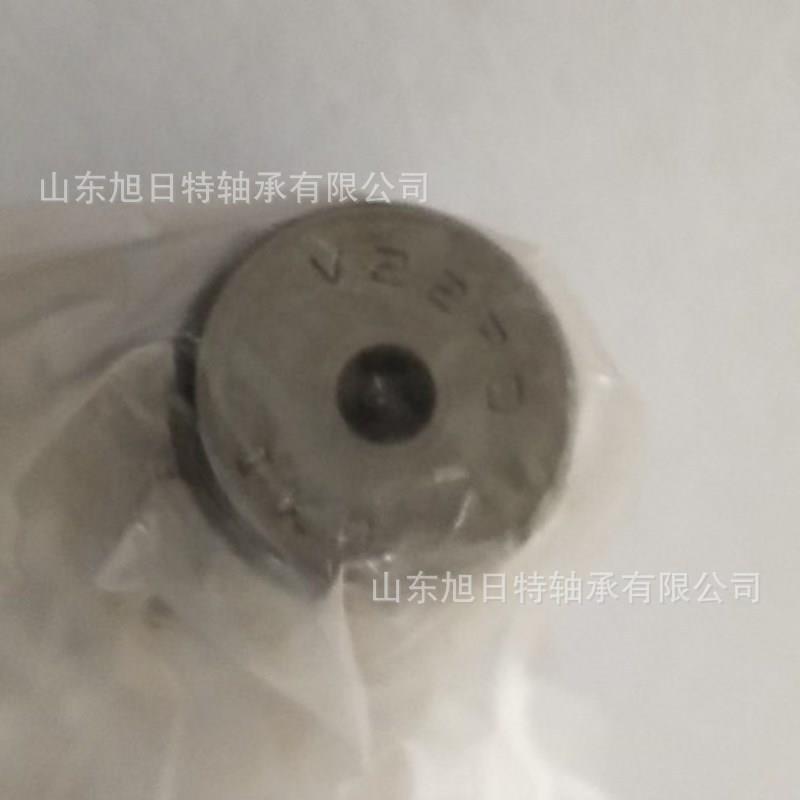 精密滚珠滑组FS栓螺RJK滚轮轴C承滚针2轴承