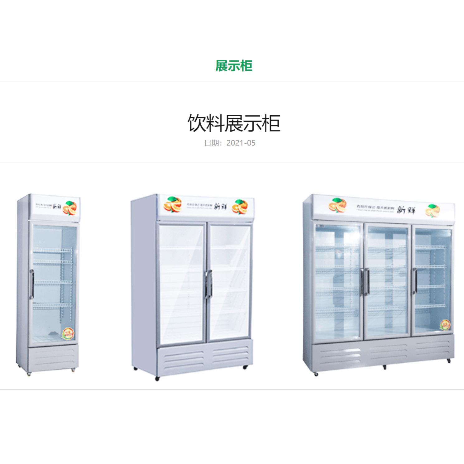 单酒水饮料开门300升夏季直冷饮柜料酒冷藏用展啤示柜冷冻立式冰