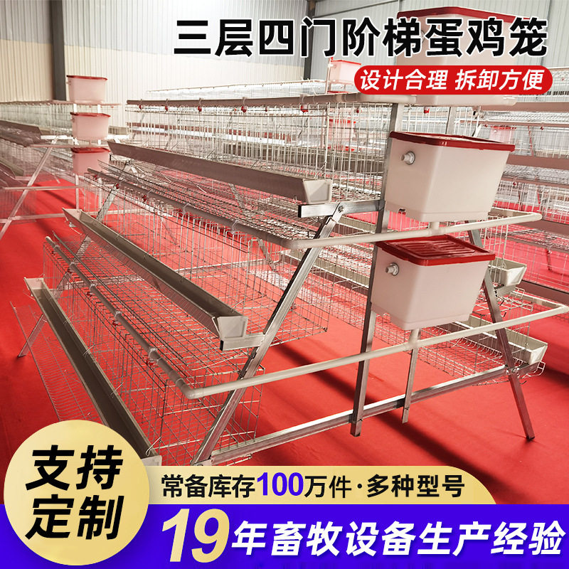 严选阶梯蛋鸡笼三层阶梯式白槽蛋鸡笼子鸡舍养殖场自动滚蛋养殖笼