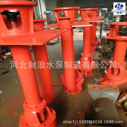 专5业产NSL立式吸BKR生沙泵抽泥沙泵NS1L00-2型液下污水泥浆泵