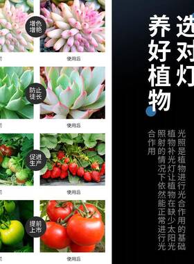 阳台太光植物内补光灯全光谱阳室兰花卉月季绿生长阳灯台植IBX物